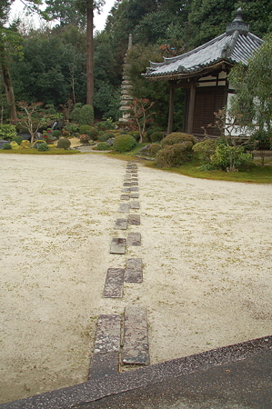 奈良 円照寺DSC_0911