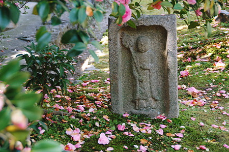 2010年04月04日伝香寺散り椿