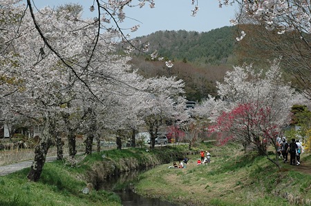 oshino12