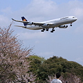 Narita International Airport Deutsche Lufthansa LH711