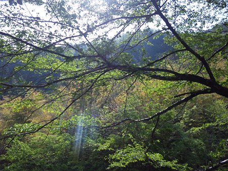 東栄の川辺　宇蓮川だと思う