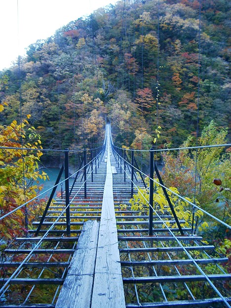 畑薙大吊橋 写真共有サイト フォト蔵