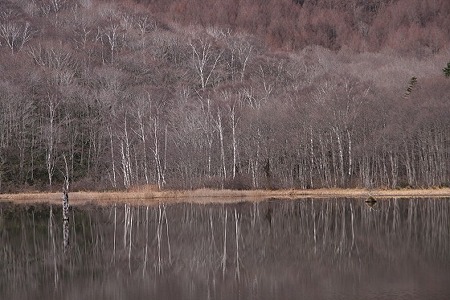 _MG_1589