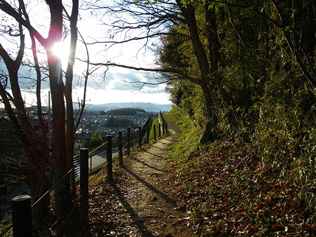 091219 鶴川台尾根緑地