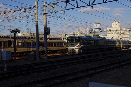 IMGP6797