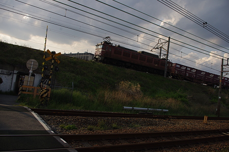 IMGP9827
