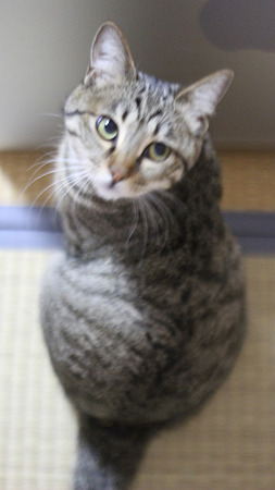 ナツさん振り向き