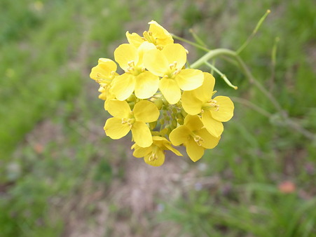 R0010109