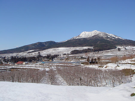 DSC00028のコピー