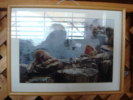 DSC00066のコピー