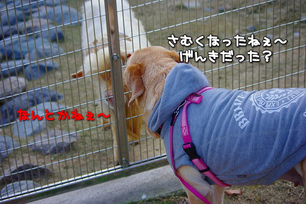 s-myu2009_1227_3 s-myu2009_1227_3