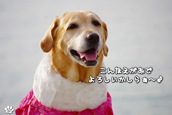 s-myu2009_1230_4 s-myu2009_1230_4