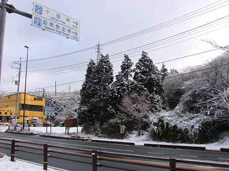 DSC08201
