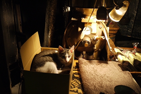 夜の窓越しに