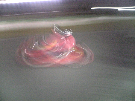 パパさんの激走！