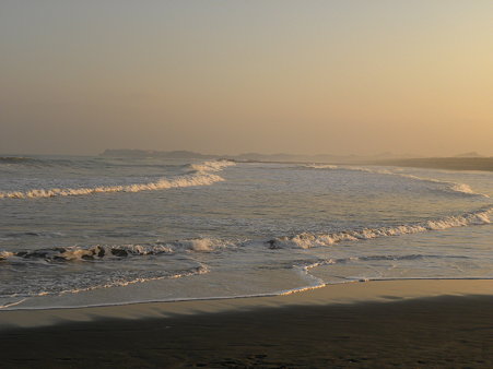 DSCN2374