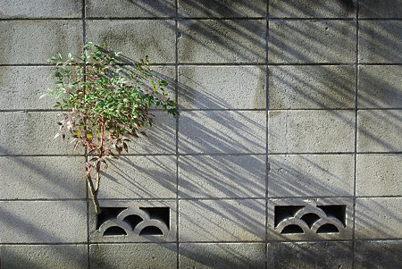 IMGP9197