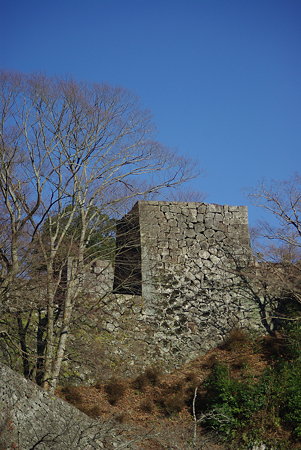 IMGP1310