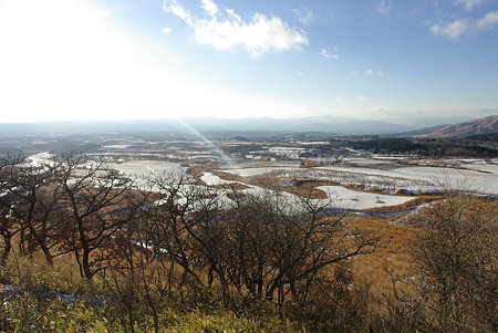 IMGP1347