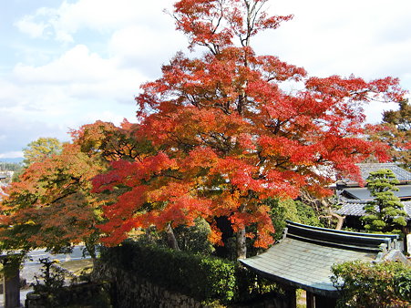 地蔵院