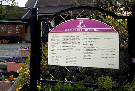 DSCN1742