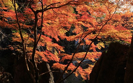 石山寺16