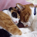 Photos: DSCN0774