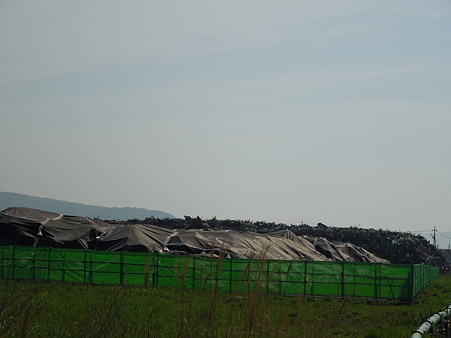 DSCN2307