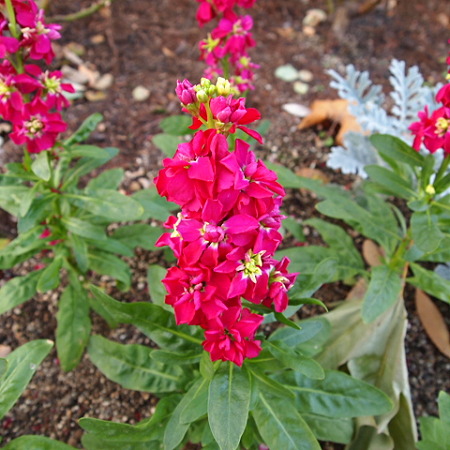 PC053696