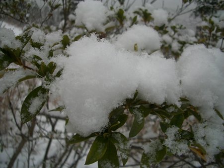 雪の中国 126