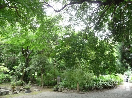 120627-白鳳庵 (87)