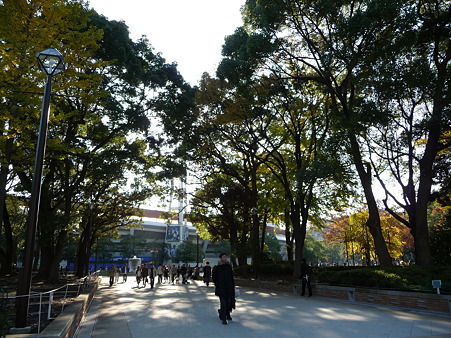 091123-ハマスタ YBファン感