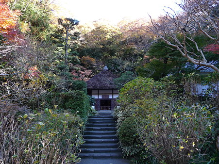 091204-明月院 (17)