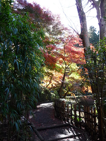 091204-明月院庭園 (84)
