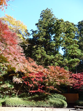 091204-明月院庭園 (39)