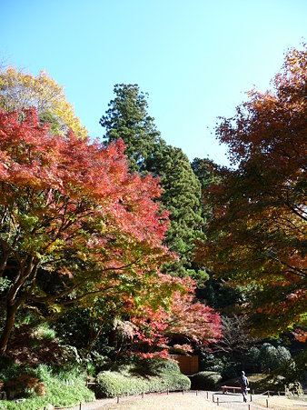091204-明月院庭園 (53)
