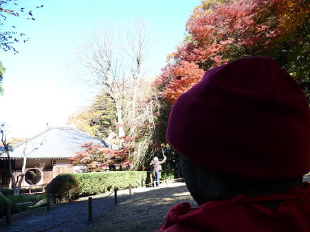 091204-明月院庭園 (78)