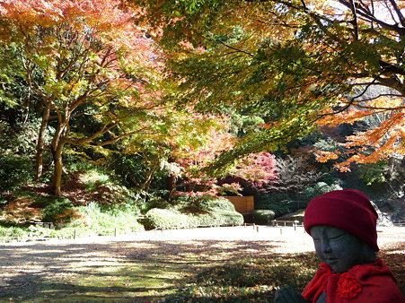 091204-明月院庭園 (82)