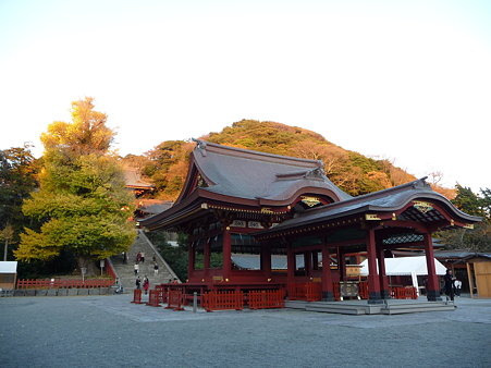 091204-八幡さま (2)