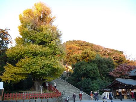 091204-八幡さま (3)