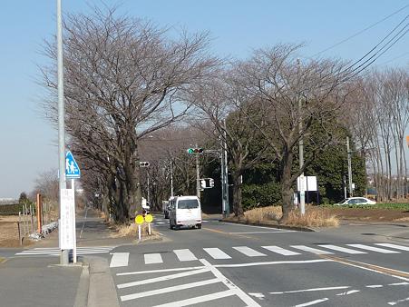100120-海軍道路・上瀬谷ベース (10)