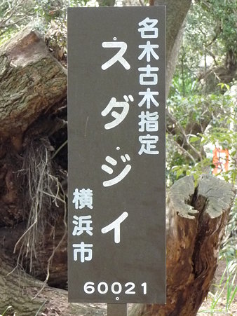 100120-6.西福寺 (11)