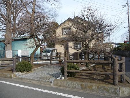 100120-道祖神と梅