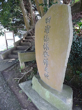 100301-田浦梅林 (91)