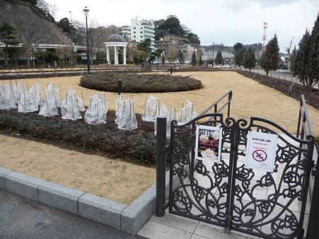100301-横須賀ヴェルニー公園 (6)