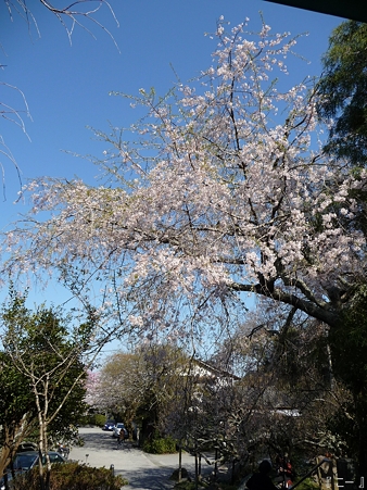110406-光則寺 (41)