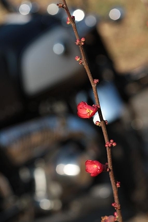 2010.1.30.2 1
