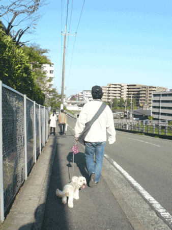 100429 くーかい 青葉台へ行く 2