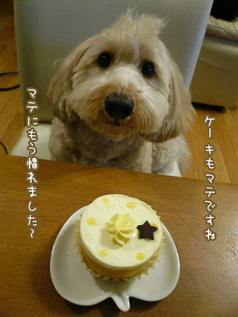 くーかい 3歳の誕生日♪ 9