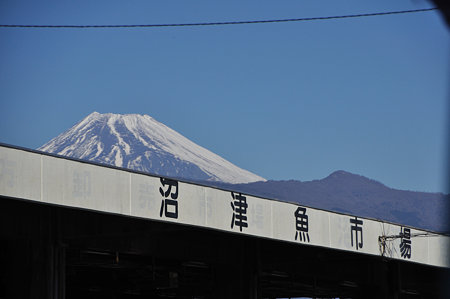 沼津魚市場と富士山